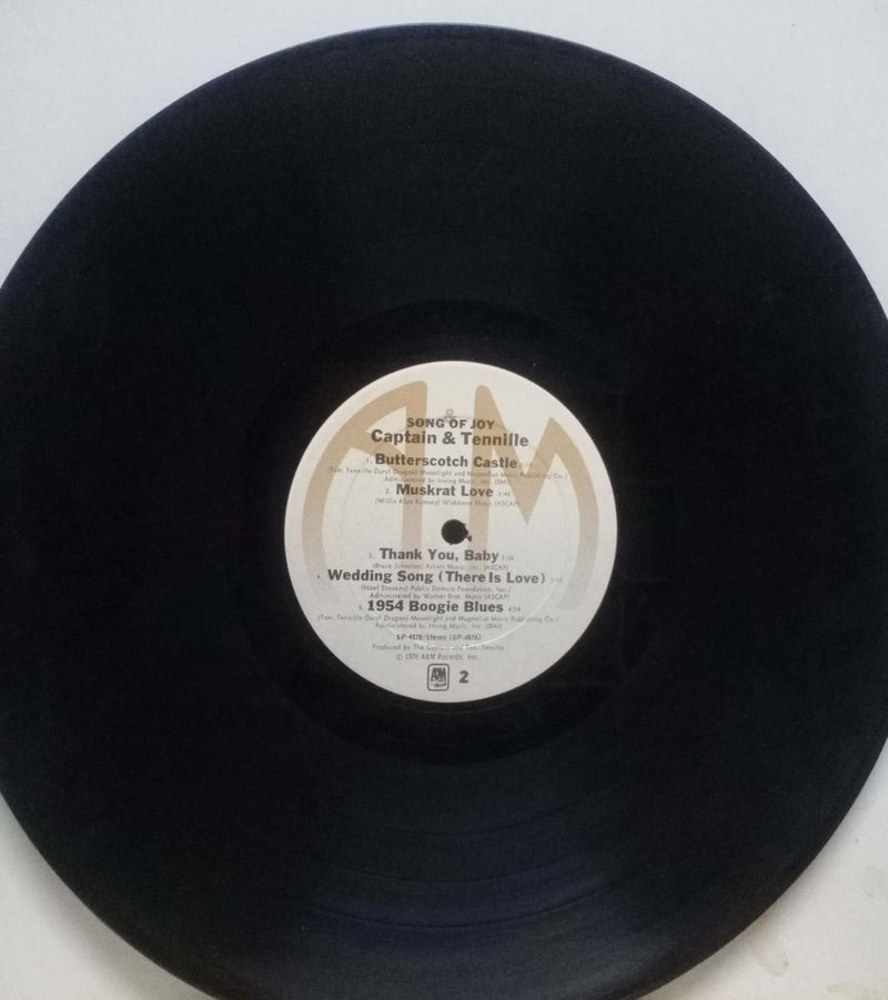 No Sleeve by Of Joy Captain And Tennillle — LP vinyl record cover