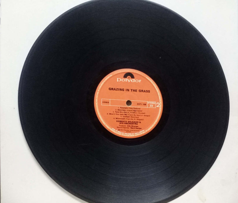 No Sleeve by Grazing In The Grass — LP vinyl record cover