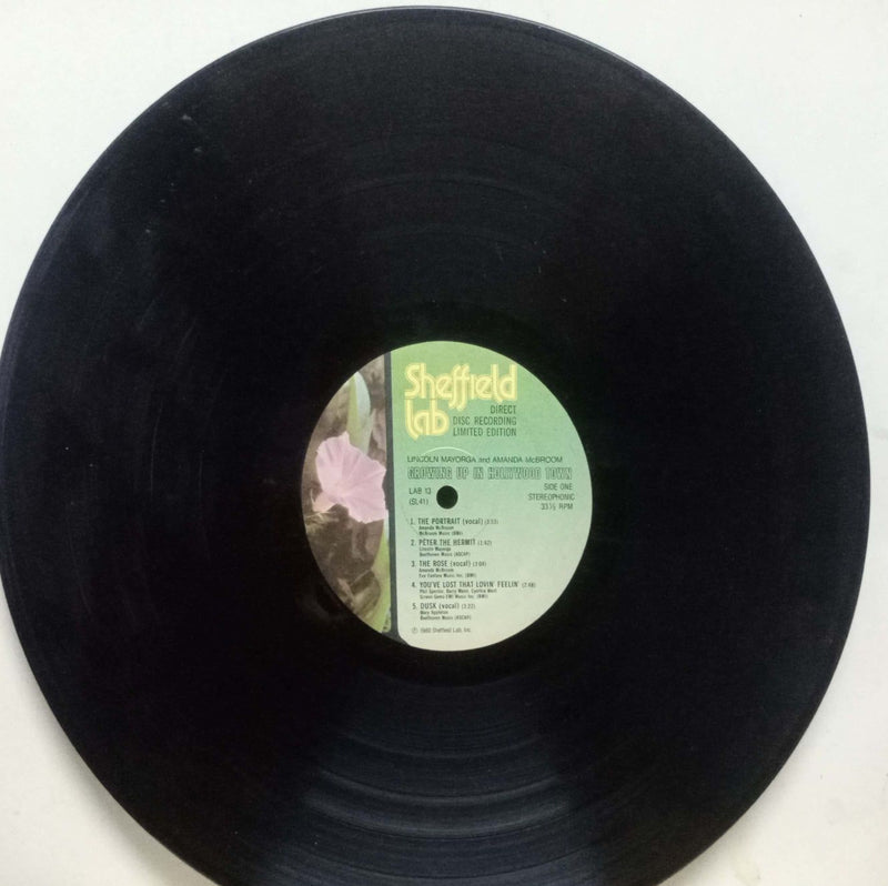 No Sleeve by Growing Up In Hollywood Town — LP vinyl record cover