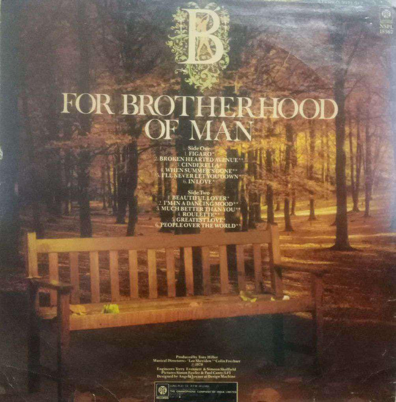 B For Brother Hood — LP vinyl record cover