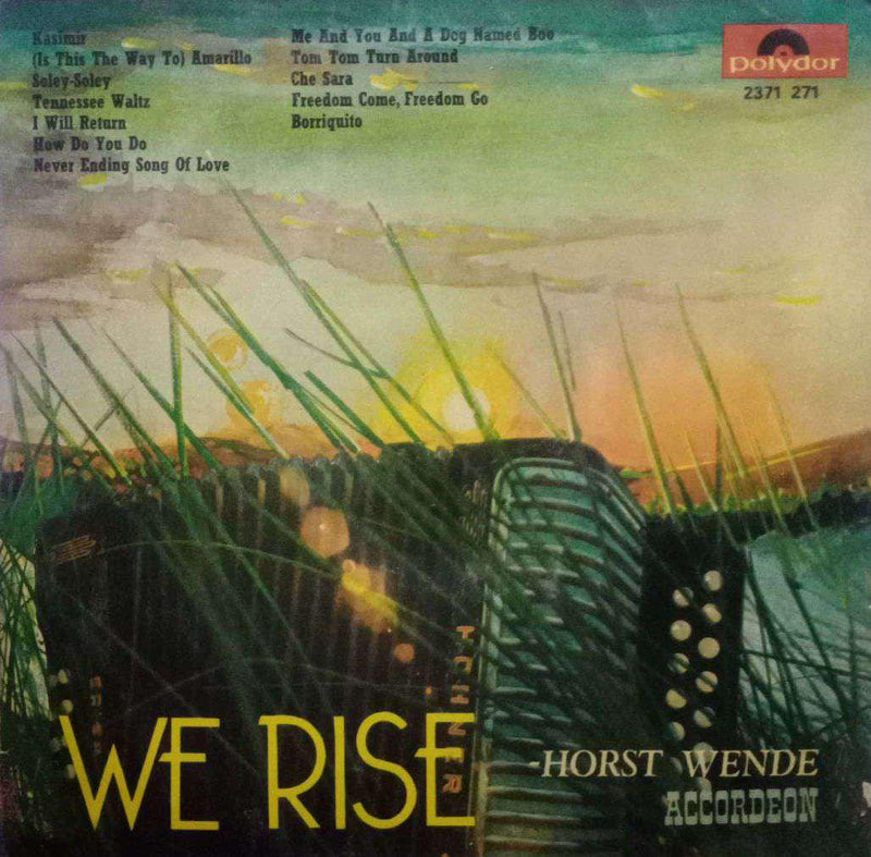 We Rise — LP vinyl record cover