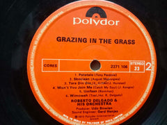 GRAZING IN THE GRASS - ENGLISH VINYL LP- No Sleeve