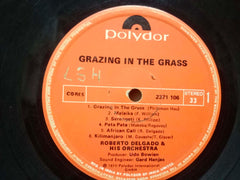 GRAZING IN THE GRASS - ENGLISH VINYL LP- No Sleeve