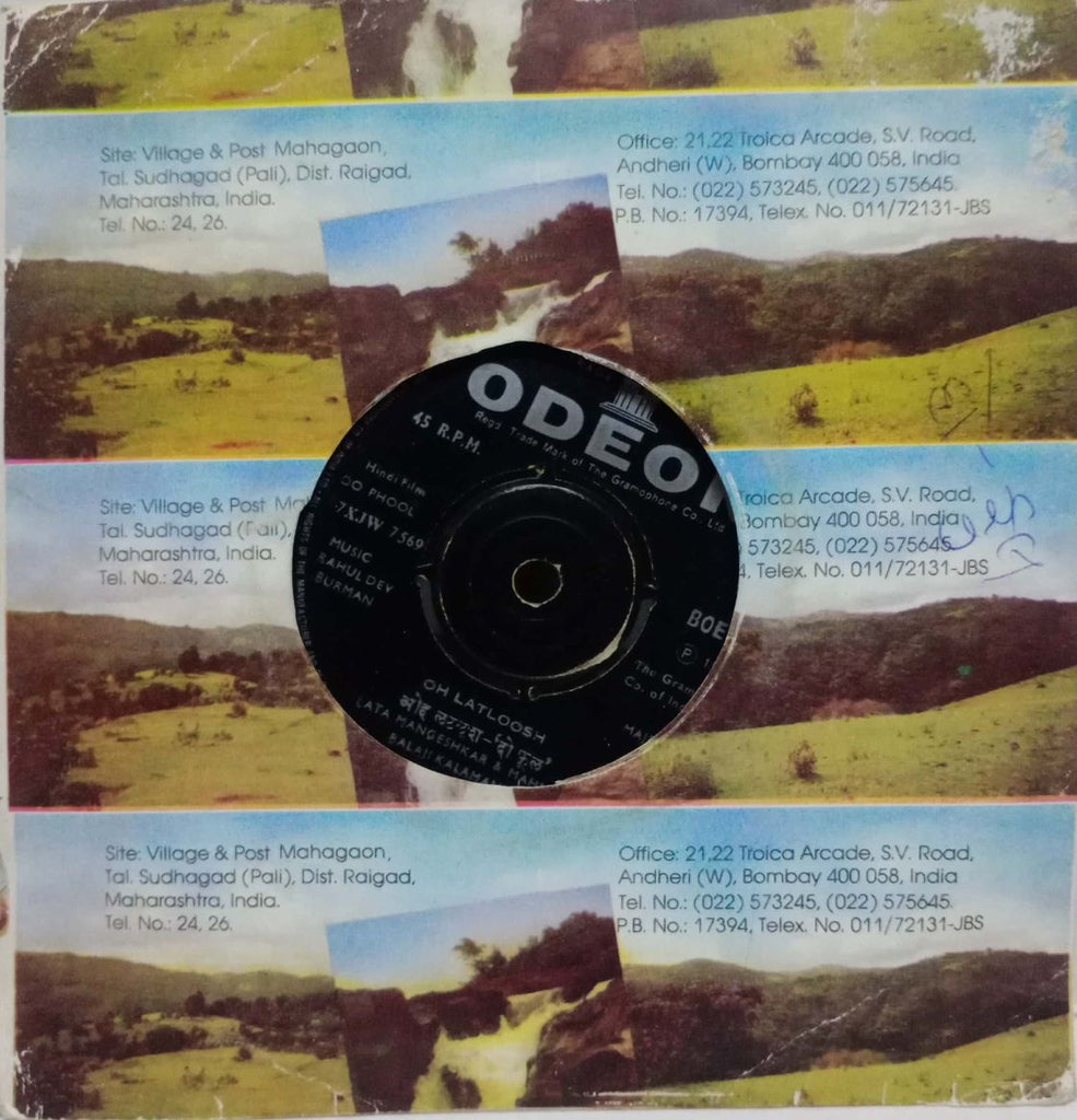 DO PHOOL - HINDI VINYL EP