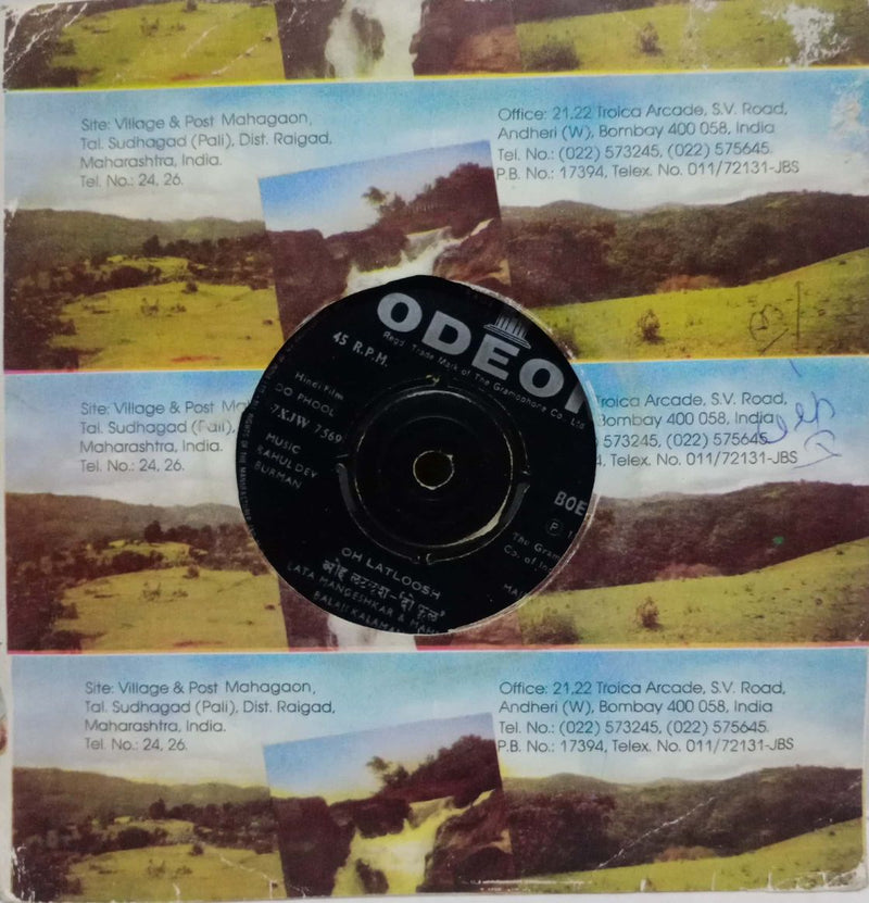 Do Phool — EP vinyl record cover