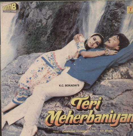 Teri Meherbaniyan 1980 Bollywood Vinyl LP