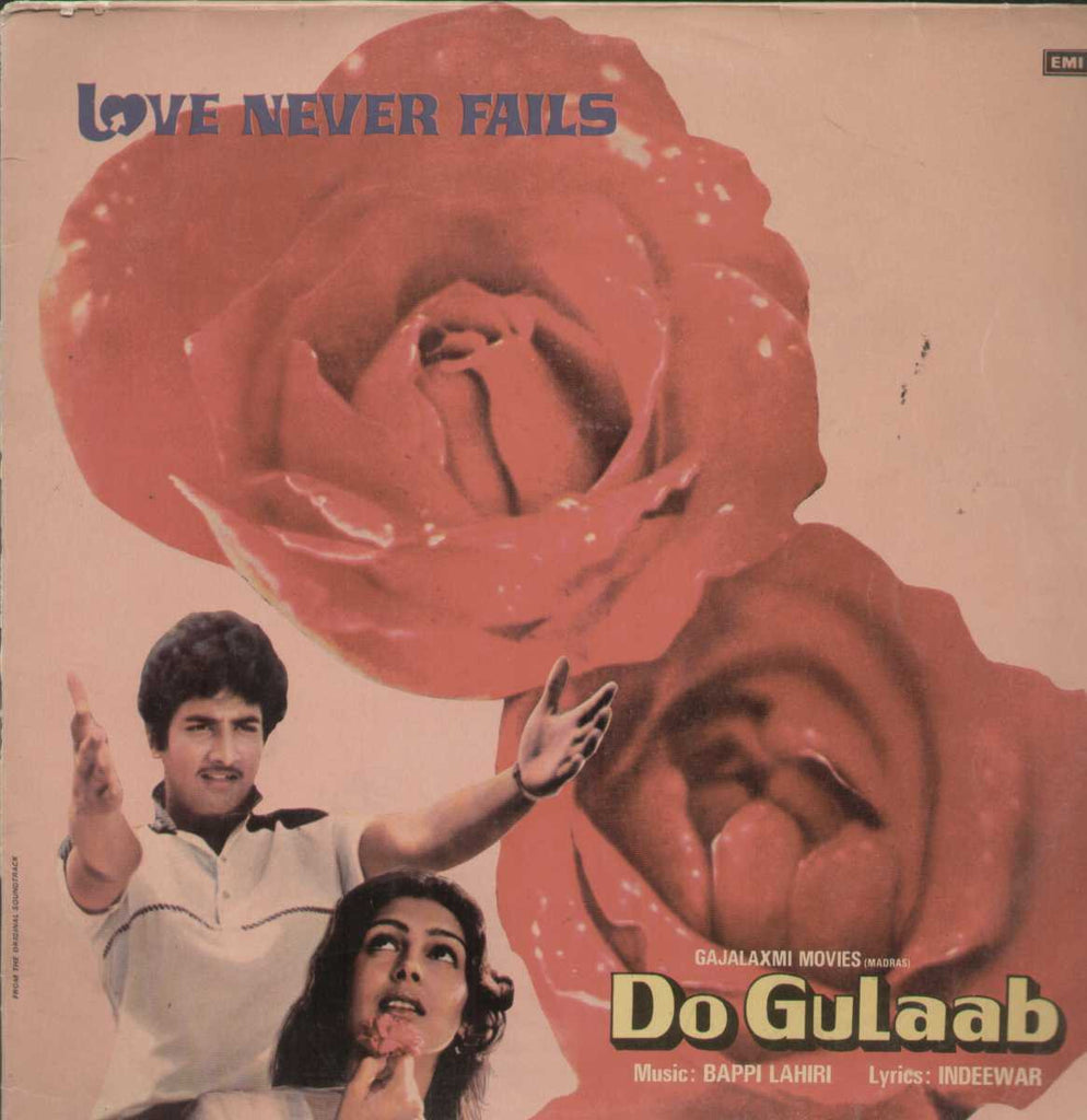 Do Gulaab 1980 Bollywood Vinyl LP