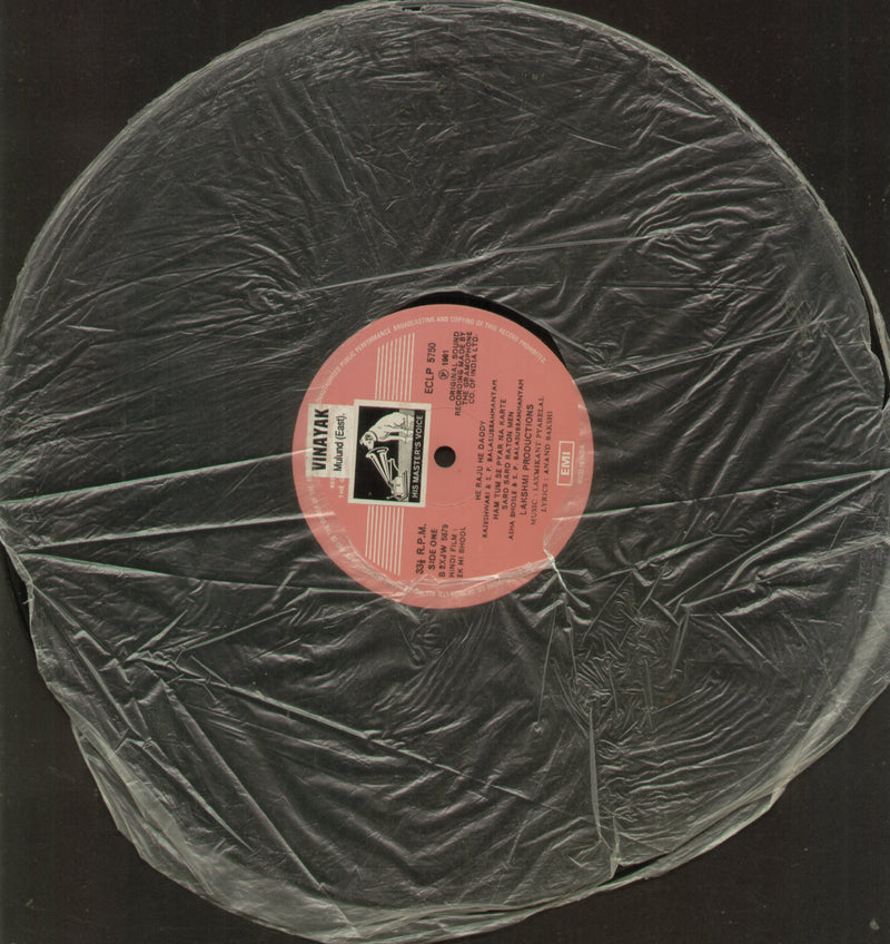 No Sleeve by Ek Hi Bhool 1980 — 1980 LP vinyl record cover