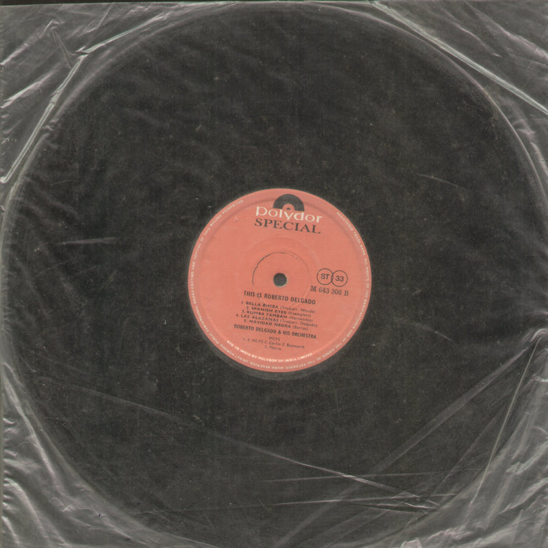No Sleeve by This is Roberto Delgado — LP vinyl record cover