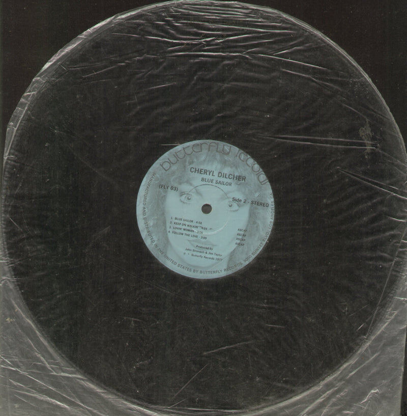 No Sleeve by Cheryl Dilcher Blue Sailor — LP vinyl record cover