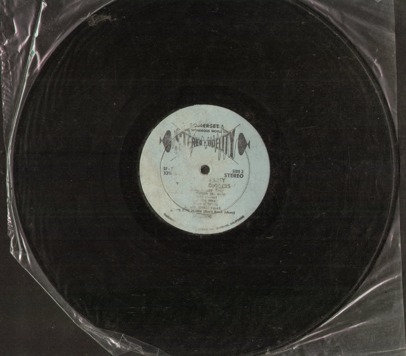 No Sleeve by A Polka Party The Coal Diggers — LP vinyl record cover