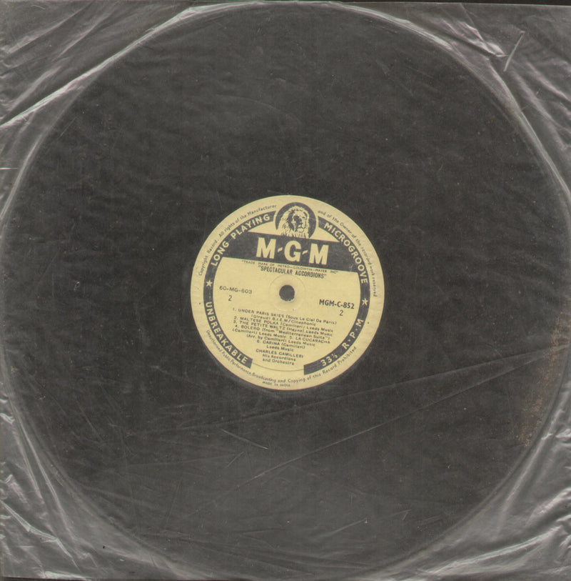 No Sleeve by Spectacular Accordions — LP vinyl record cover
