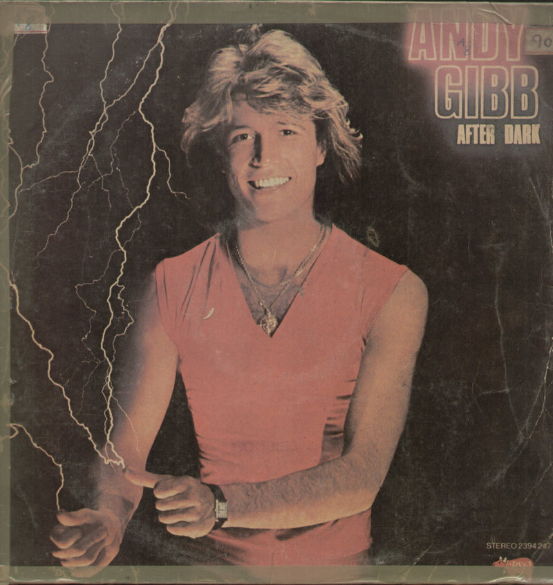 Andy Gibb After Dark — LP vinyl record cover