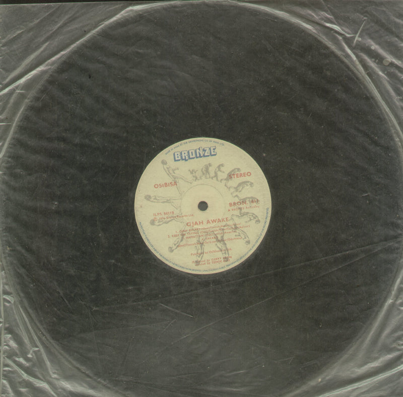 No Sleeve by Ojah Awake — LP vinyl record cover