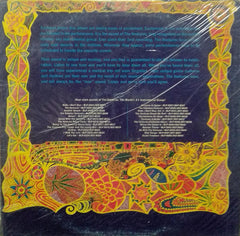 "THE VENTURES SUPER PSYCHEDELIC" English vinyl LP